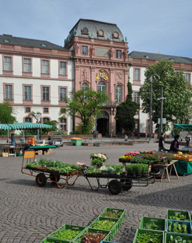 Umzug nach Darmstadt - Unternehmen, Dienstleistungen, Infos